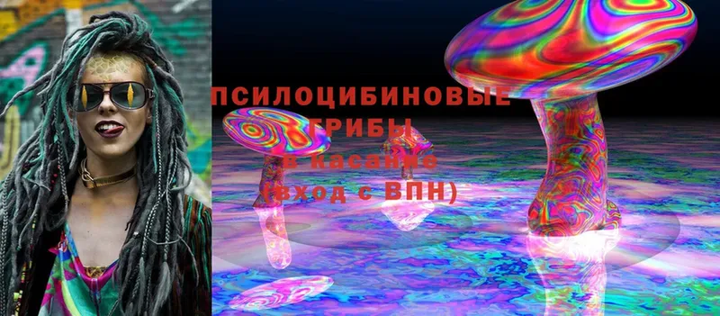 Галлюциногенные грибы Cubensis  МЕГА ссылки  Алзамай 