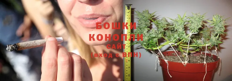 сколько стоит  Алзамай  Канабис White Widow 